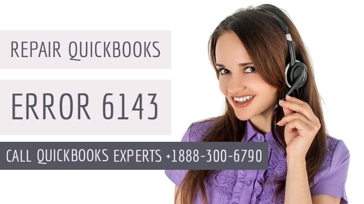 quickbooks error 6143