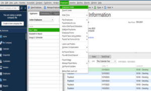 quickbooks payroll setup error 00000