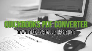 Read more about the article QuickBooks PDF Converter