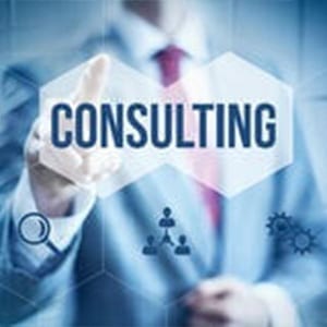 Consulting1